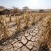 Roman Catholic leads in mitigating against forecasted El Nino Beitbridge District